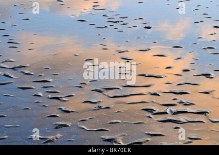 Reflections of sunset clouds, Red Wharf bay, Anglesey, Wales Stock Photo