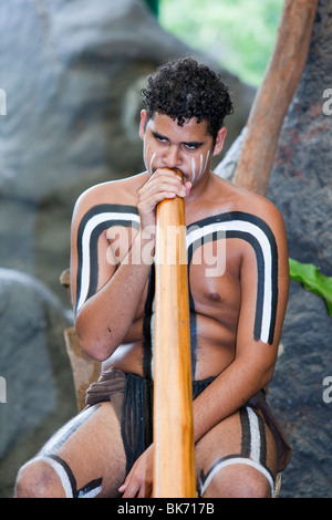 A traditional aboriginal display at the Tjapukai Aboriginal Park near Cairns, Queensland, Australia. Stock Photo