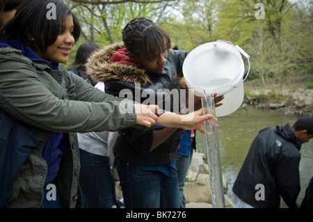 Bronx middle school students volunteer their time in Bronx Park in New York Stock Photo