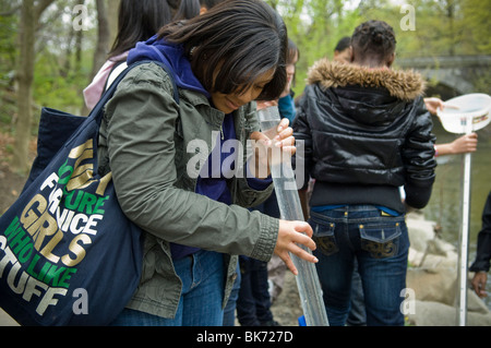 Bronx middle school students volunteer their time in Bronx Park in New York Stock Photo