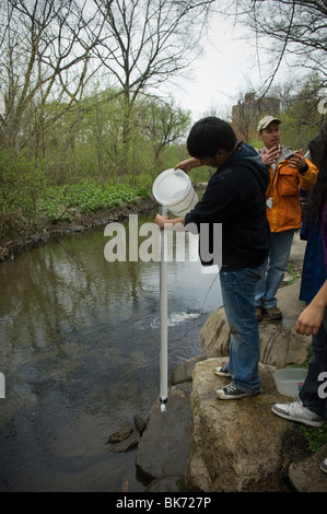 Bronx middle school students volunteer their time in Bronx Park in New York Stock Photo