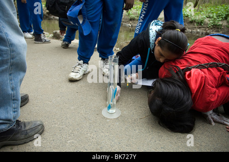 Bronx middle school students volunteer their time in Bronx Park in New York Stock Photo