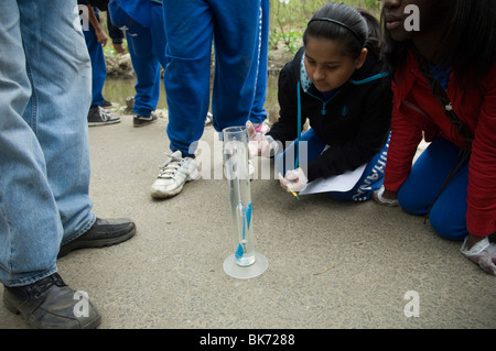 Bronx middle school students volunteer their time in Bronx Park in New York Stock Photo