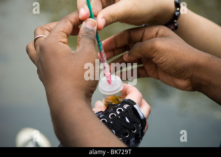 Bronx middle school students volunteer their time in Bronx Park in New York Stock Photo