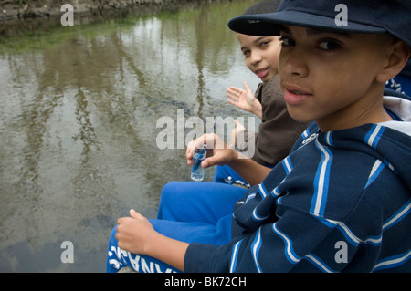 Bronx middle school students volunteer their time in Bronx Park in New York Stock Photo