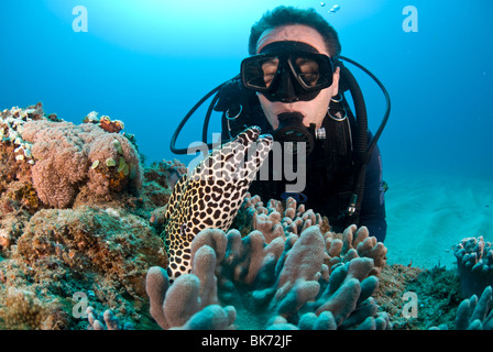 Scuba diver and honeycomb morey eel, South Africa Stock Photo