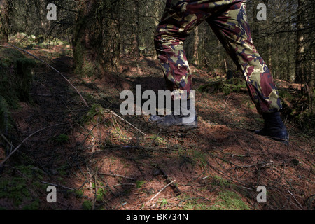 man wearing camouflage combat trousers and boots standing looking sidewards on alert in a forest in the uk Stock Photo
