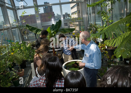 Students visit the Arthur Ross Greenhouse atop Millbank Hall at Barnard College in New York Stock Photo