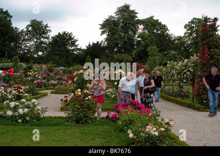 Paris, France, People Visiting Urban Park, European Flower Gardens, 'Bagatelle Rose Garden', 'Bois de Boulogne' jardin de bagatelle Stock Photo