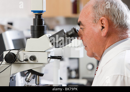 Lab technician using microscope Stock Photo