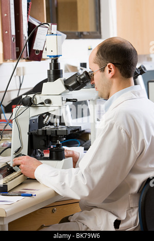 Lab technician using microscope Stock Photo
