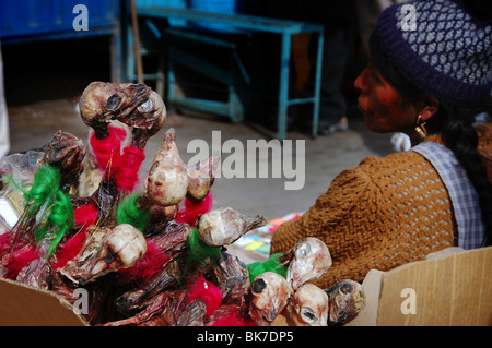 Llama foetuses for sale in Potosi, Bolivia Stock Photo