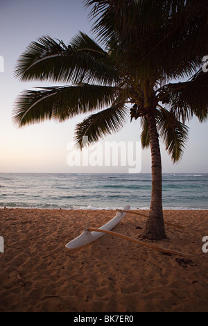 Outrigger canoe and palm tree on hawaiian beach Stock Photo