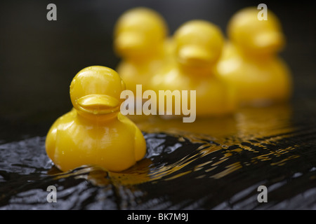 yellow plastic toy ducks on a fast flowing river in the uk Stock Photo