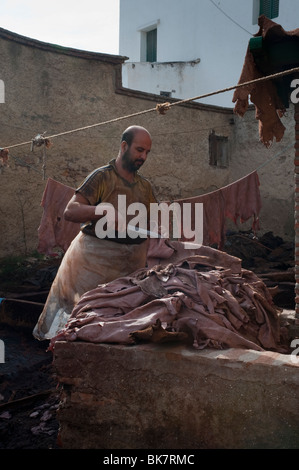 Tanner, tannery, Tetouan, Morocco. Stock Photo