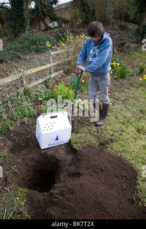 Model released teenage boy digging hole in garden to bury pet cat Stock Photo
