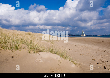 Sand dunes and grasses with yacht, Studland Bay, Dorset, UK Stock Photo