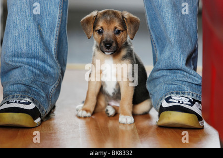 Between legs hi-res stock photography and images - Alamy