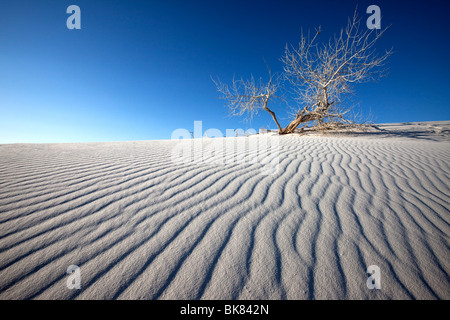 Silence, White Sands National Park, New Mexico Stock Photo