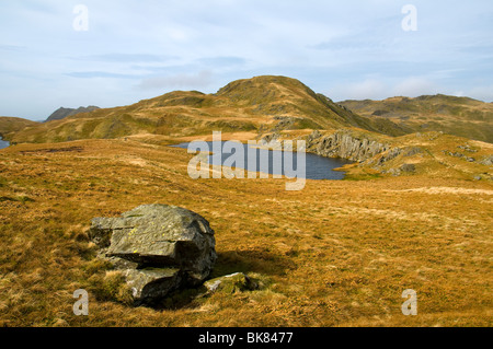 Moel Druman from Allt-fawr, in the Moelwyn hills, Snowdonia, North Wales, UK Stock Photo