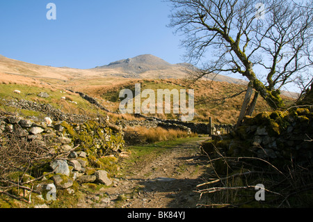 Arenig Fawr from the ruined farm at Amnodd-wen, in the Arenig hills, near Trawsfynydd, Snowdonia, North Wales, UK Stock Photo