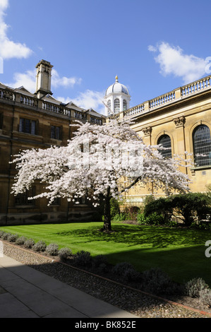 Clare College, Cambridge, England, UK Stock Photo