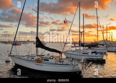 Moored sailboats with San Diego city skyline in background at sunset-San Diego, California, USA. Stock Photo