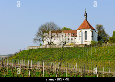 Vogelsburg Monastery, Volkach, Main River loop, Lower Franconia, Bavaria, Germany, Europe Stock Photo