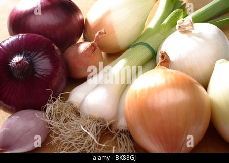 onions(Allium cepa),White onions (Allium cepa),scallion(Allium fistulosum),spring onions,eschalot Stock Photo