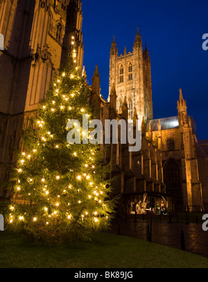 Christmas tree and stall with nativity scene at Canterbury Cathedral in Kent, UK Stock Photo