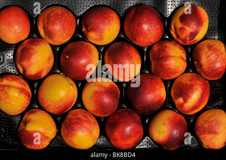 Greengrocer  shop outdoor display of Nectarines Stock Photo
