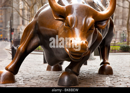 Bronze Wall Street Bull on Broadway in Lower Manhattan, New York City USA Stock Photo