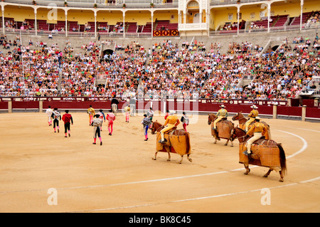 Entry of the bullfighters, paseíllo, in Las Ventas Bullring, Madrid, Spain, Iberian Peninsula, Europe Stock Photo