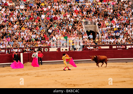 Bullfighters holding their capes, capote, in Las Ventas Bullring, Madrid, Spain, Iberian Peninsula, Europe Stock Photo