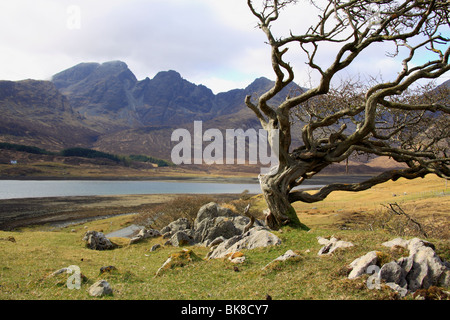 The Mountain ridge of Bla Bheinn rises 928m above Loch Slapin,Isle of Skye,Scotland as seen from near the village of Torrin. Stock Photo