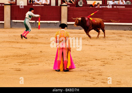 Bullfighter, banderillero, with colorful sticks with a barbed point, in Las Ventas Bullring, Madrid, Spain, Iberian Peninsula,  Stock Photo