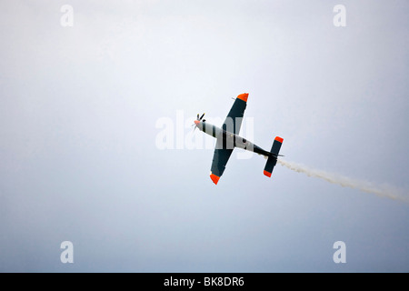 Polish air acrobatic team, PZL-130 Orlik, Airpower 2009 in Zeltweg, Styria, Austria, Europe Stock Photo