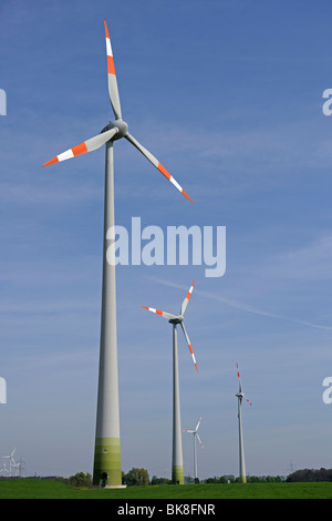 Wind turbines in a field in Brandenburg, renewable energy, Brandenburg, Germany Stock Photo