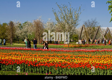 Tulip show TULIPAN in the Britzer Garden park, Berlin, Germany, Europe Stock Photo