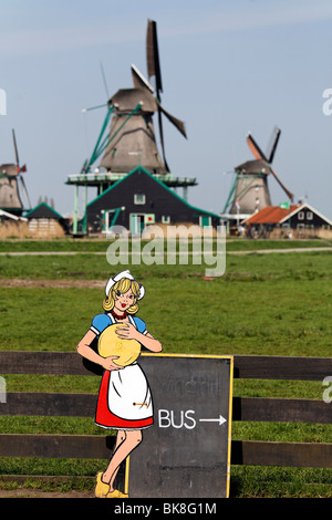 Cardboard cut-out of a Dutch woman in costume holding cheese, signpost to bus park, open-air museum Zaanse Schans, Zaanstadt, p Stock Photo