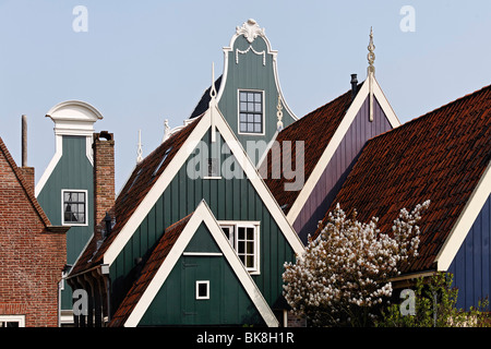 Typical wooden houses from the 17th century, roofs, historic city De Rijp near Alkmaar, Province of North Holland, Netherlands, Stock Photo
