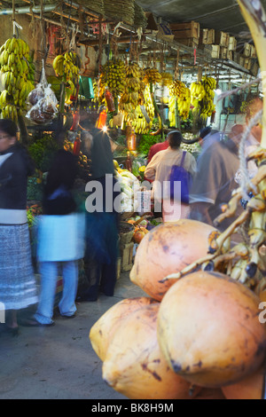 King coconuts at market, Nuwara Eliya, Sri Lanka Stock Photo