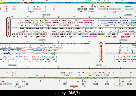 Human genome map focused on the X chromosome Stock Photo - Alamy