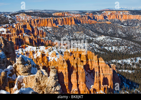 As viewed from Rainbow Point, thin, protruding spires of rock, hoodoos have been formed over thousands of years by erosion. Stock Photo