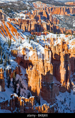 As viewed from Rainbow Point, thin, protruding spires of rock, hoodoos have been formed over thousands of years by erosion. Stock Photo