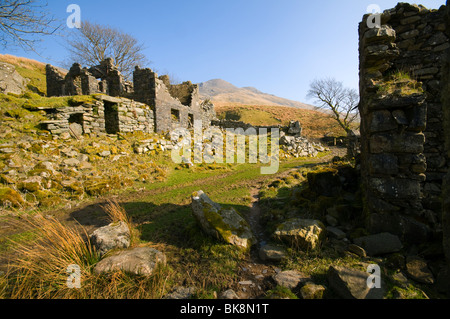 Arenig Fawr from the ruined farm at Amnodd-wen, in the Arenig hills, near Trawsfynydd, Snowdonia, North Wales, UK Stock Photo