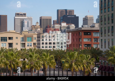 Commercial and residential buildings with palm trees in downtown San Diego Stock Photo