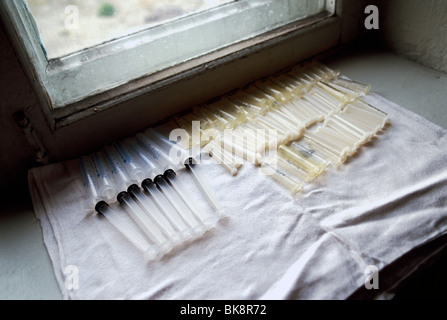 Cleaned hypodermic needles drying for reuse in a hospital in former Soviet Union town of Egvekinot, Magadon Region, former USSR Stock Photo