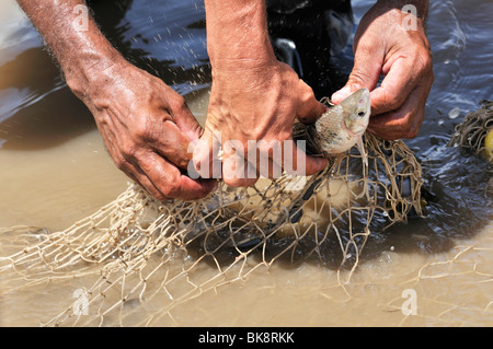 Closeup shot of the details of a fishing net Stock Photo - Alamy