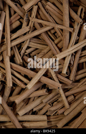 Cinnamon sticks in a spice shop in Kumily, Kerala, India. Stock Photo